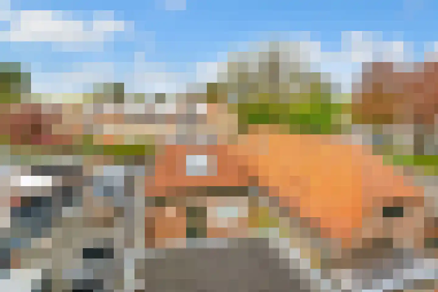 Dijnselweg 117 Zeist thumbnail 27