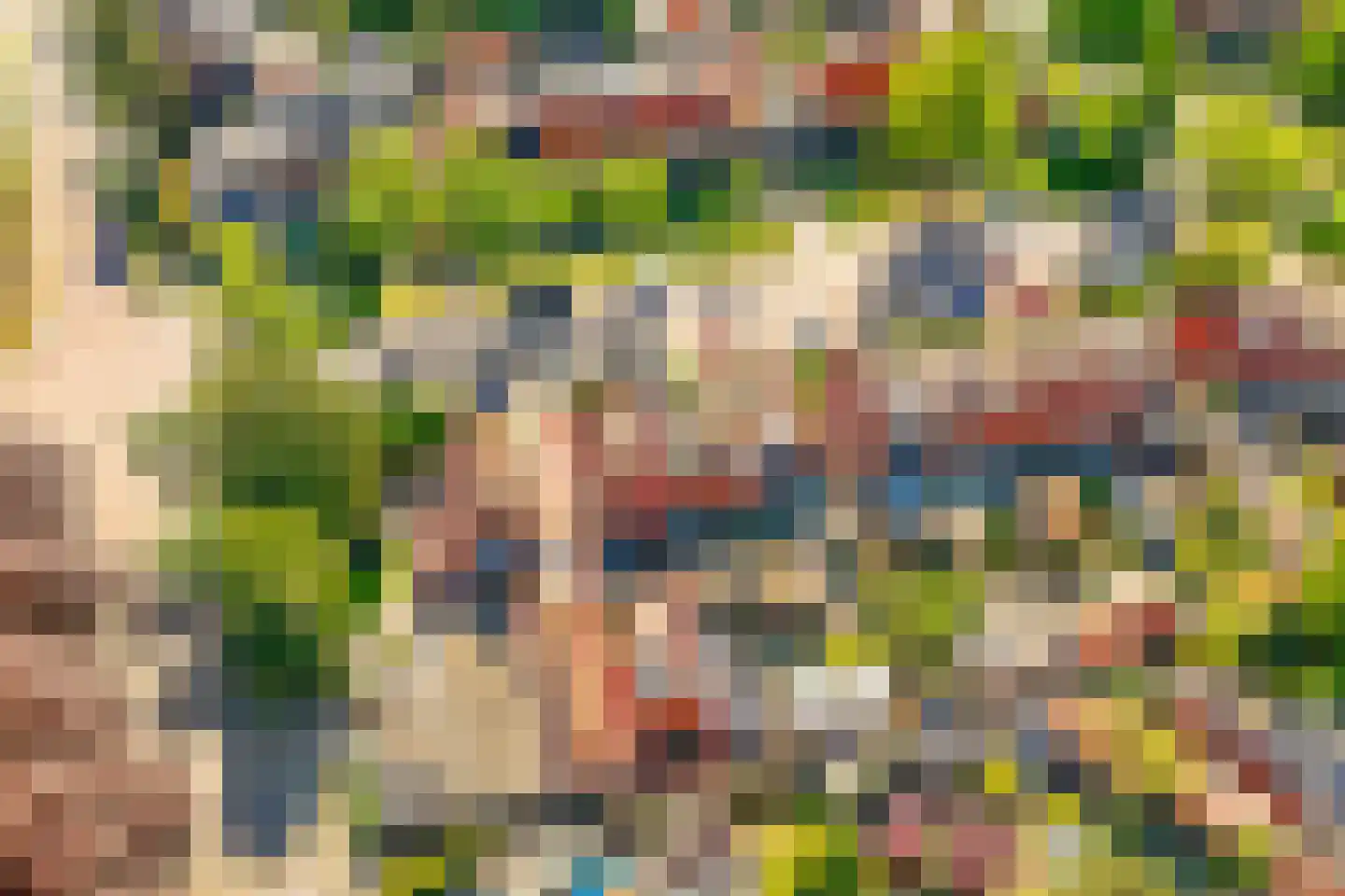 Dijnselweg 117 Zeist foto 3