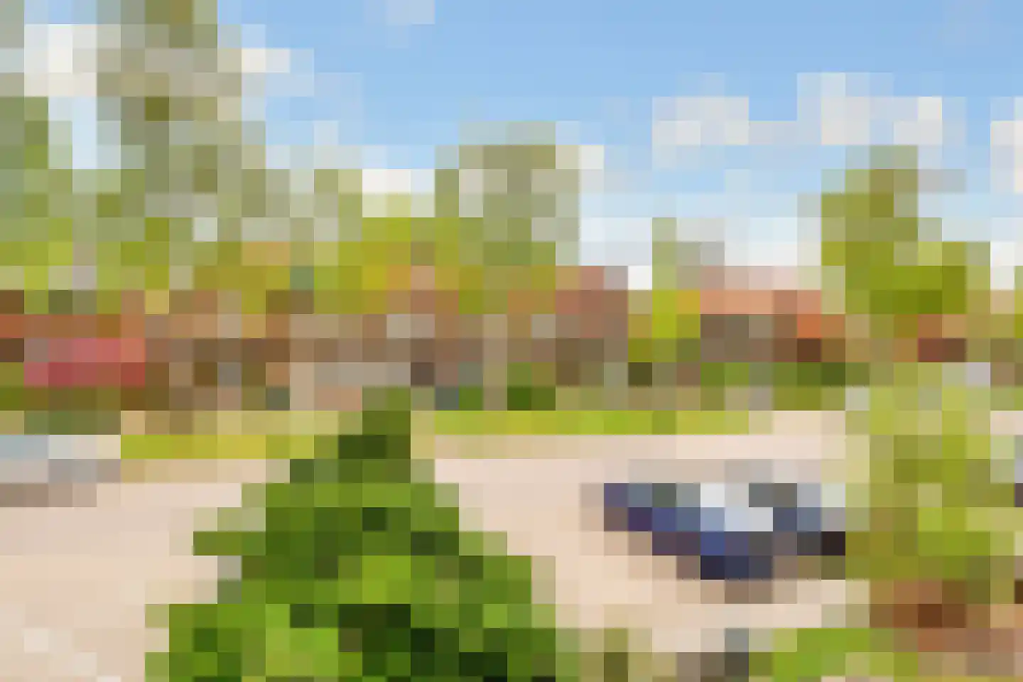 Dijnselweg 117 Zeist thumbnail 31