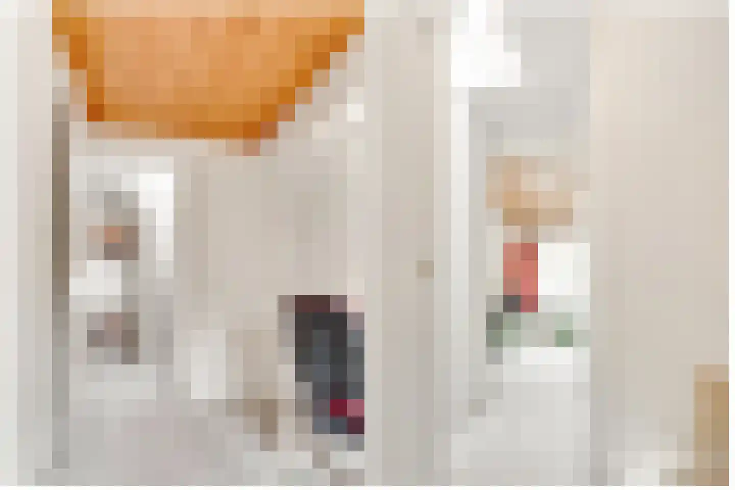 Dijnselweg 117 Zeist thumbnail 32