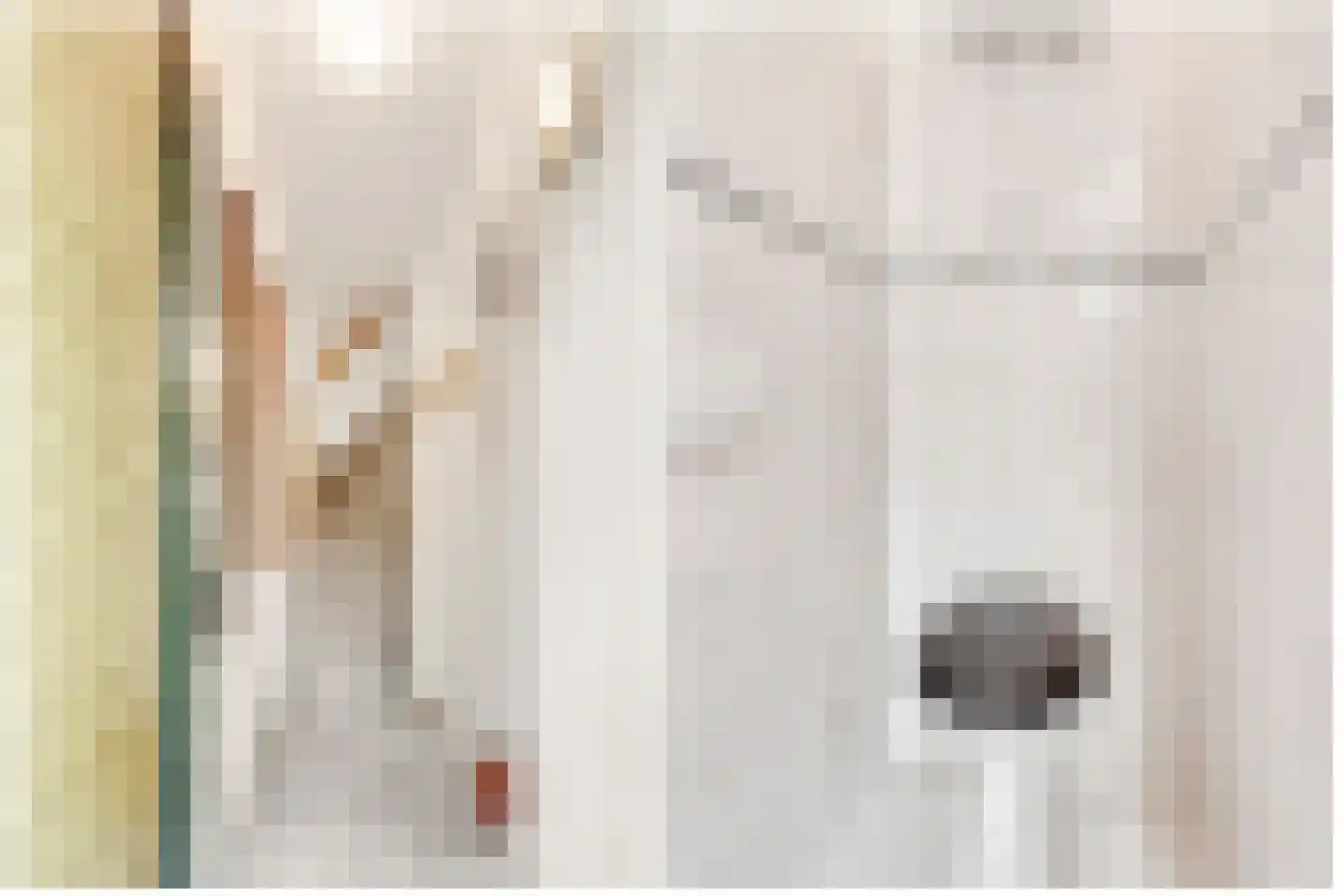 Dijnselweg 117 Zeist thumbnail 9
