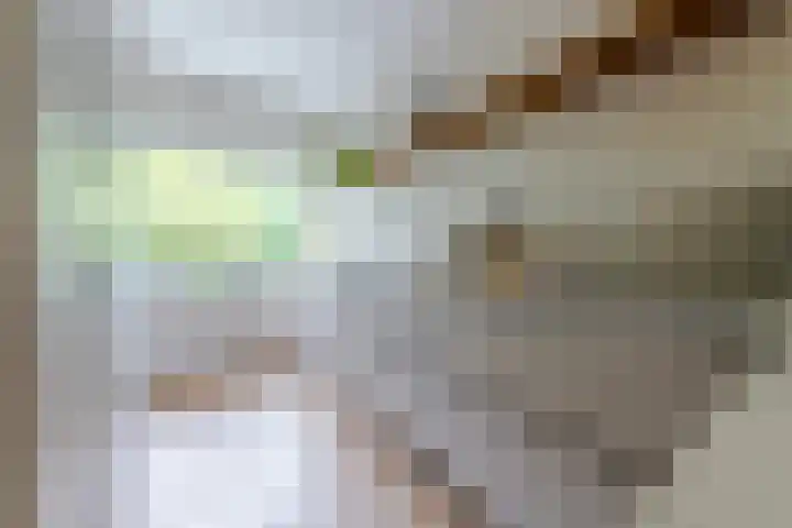 Dijnselweg 130 Zeist thumbnail 11