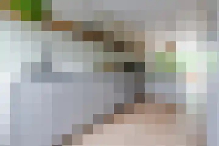 Dijnselweg 130 Zeist thumbnail 12