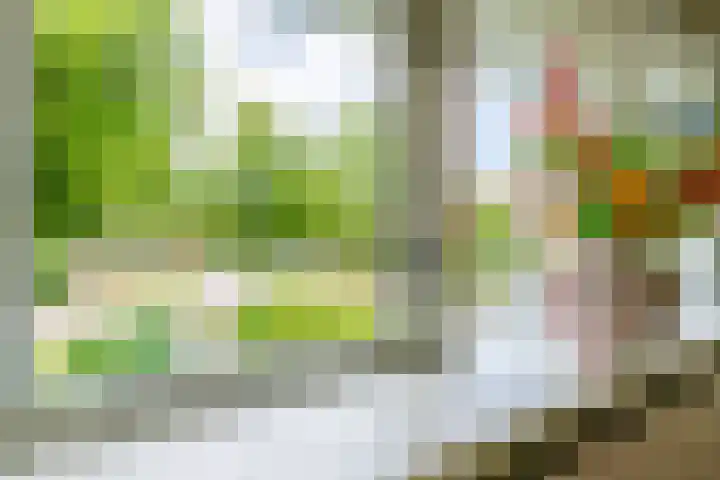 Dijnselweg 130 Zeist thumbnail 18