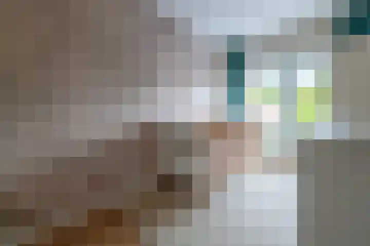 Dijnselweg 130 Zeist thumbnail 19