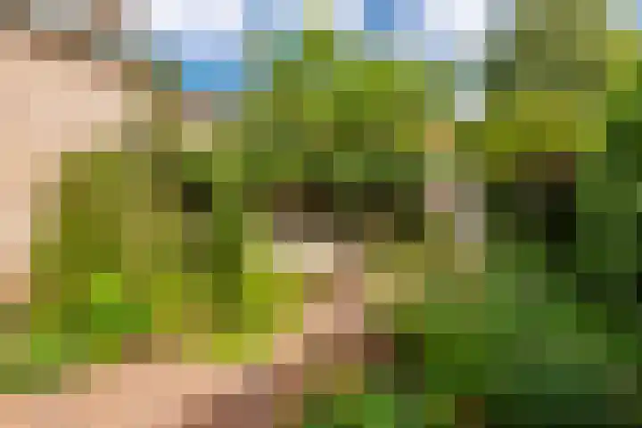 Dijnselweg 130 Zeist thumbnail 28