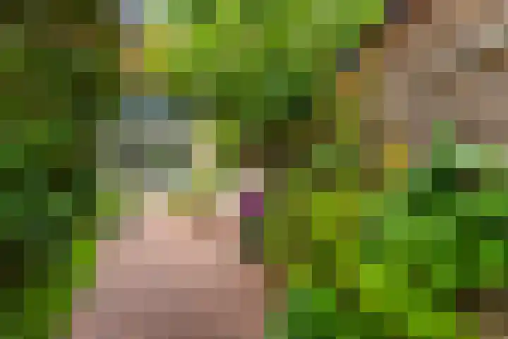 Dijnselweg 130 Zeist thumbnail 29