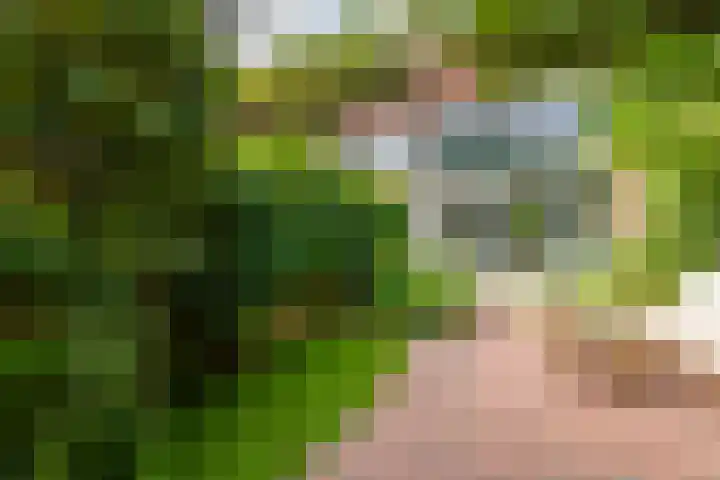 Dijnselweg 130 Zeist thumbnail 30