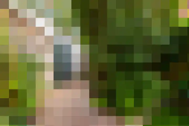 Dijnselweg 130 Zeist thumbnail 31
