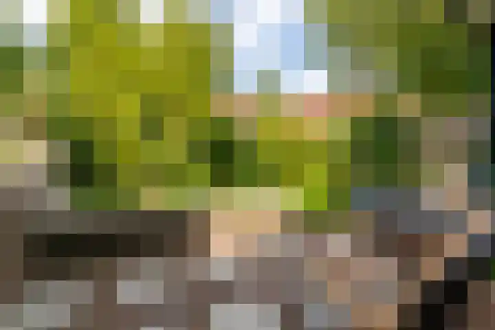 Dijnselweg 130 Zeist thumbnail 32