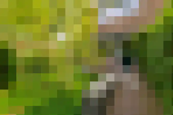 Dijnselweg 130 Zeist thumbnail 33