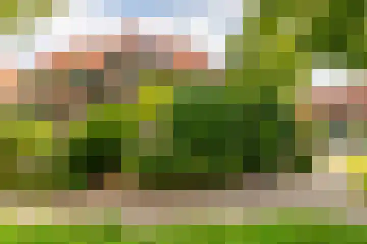 Dijnselweg 130 Zeist thumbnail 34