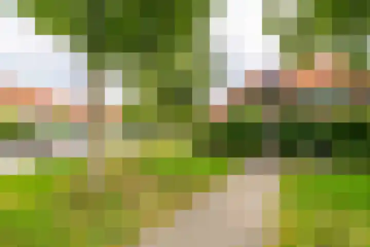 Dijnselweg 130 Zeist thumbnail 35