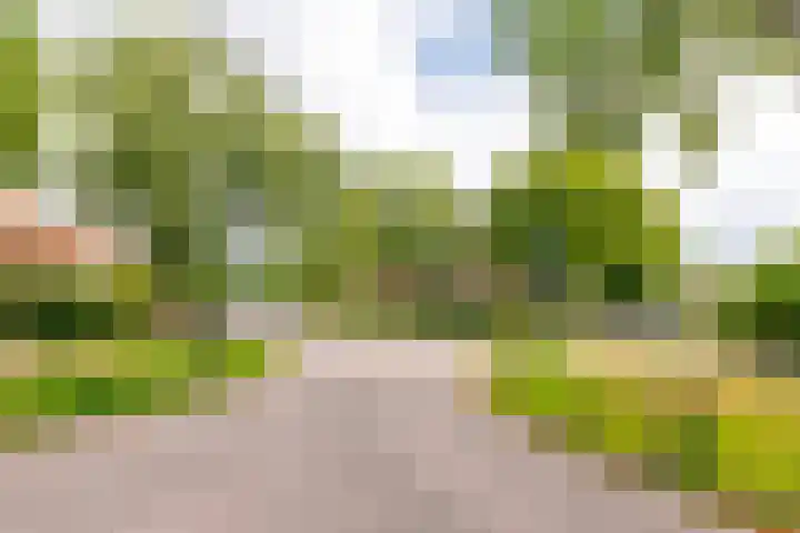 Dijnselweg 130 Zeist thumbnail 36
