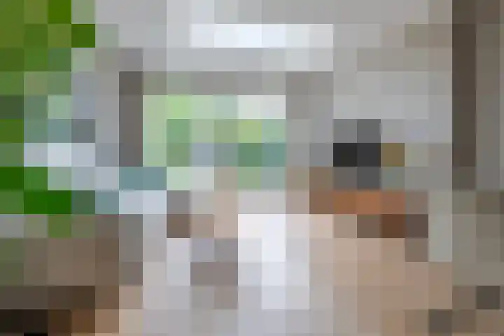 Dijnselweg 130 Zeist thumbnail 6