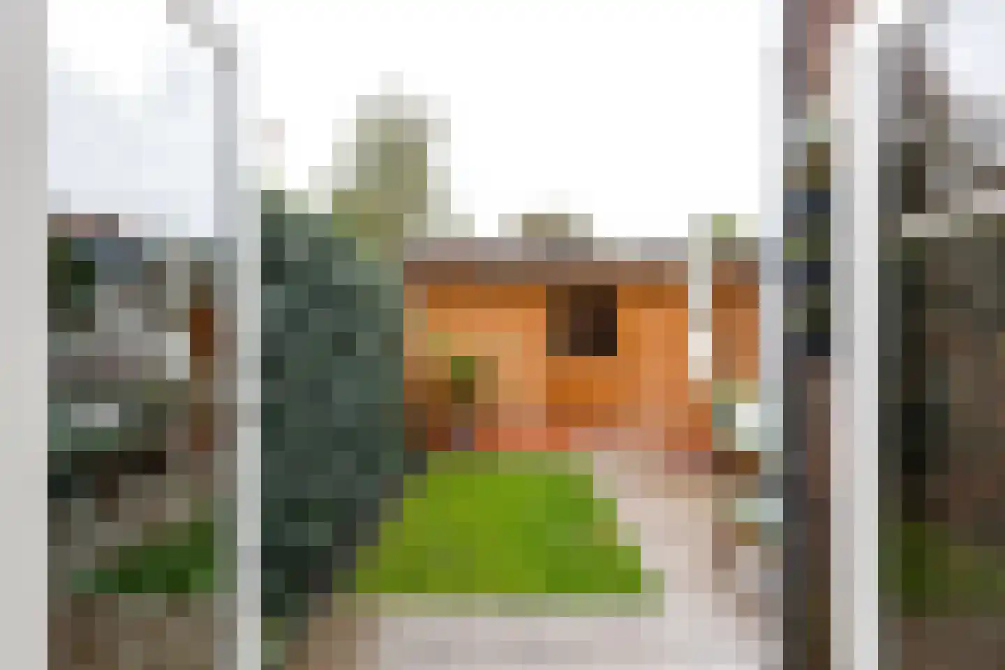 Dijnselweg 81 Zeist thumbnail 11