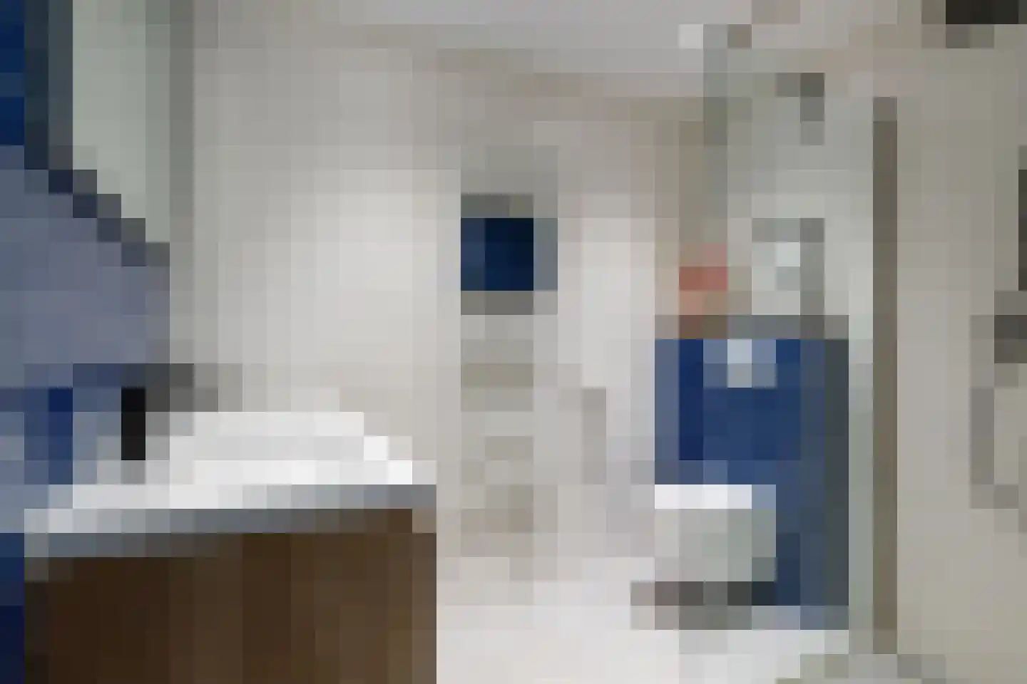 Dijnselweg 81 Zeist thumbnail 19