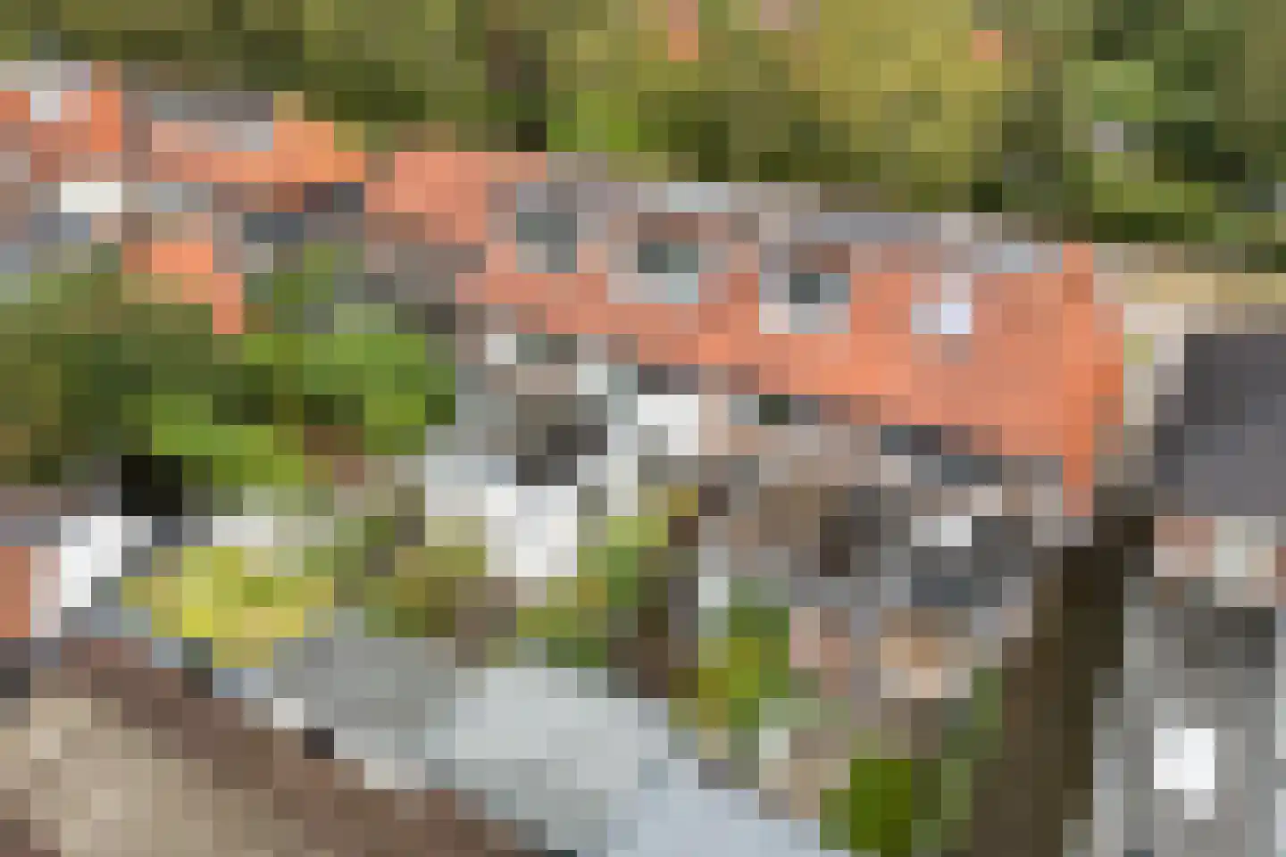 Dijnselweg 81 Zeist thumbnail 29
