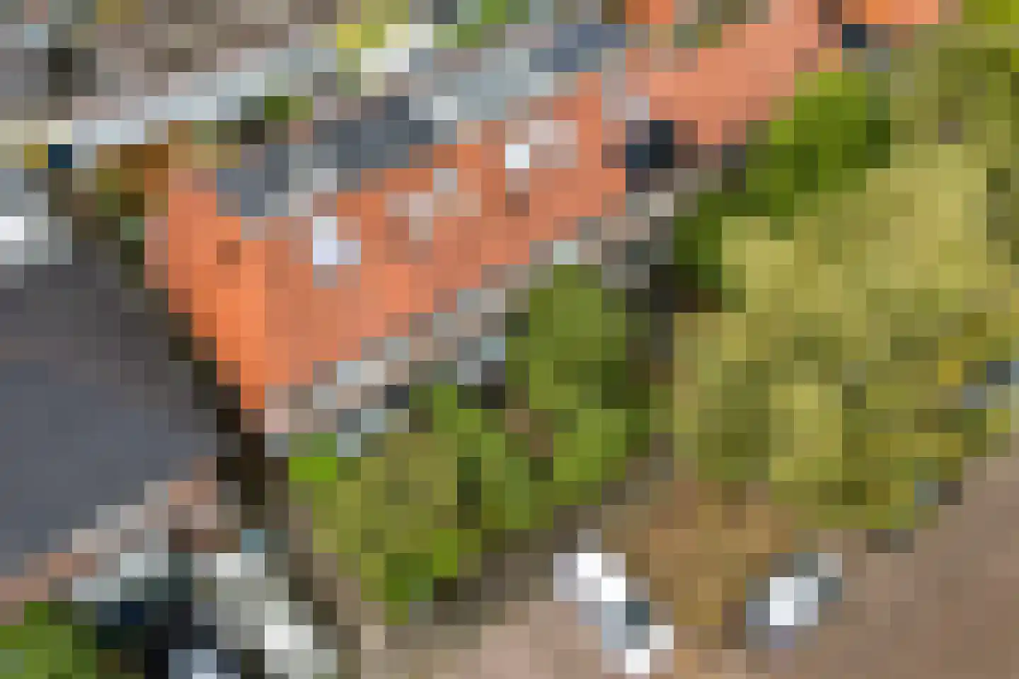 Dijnselweg 81 Zeist thumbnail 30