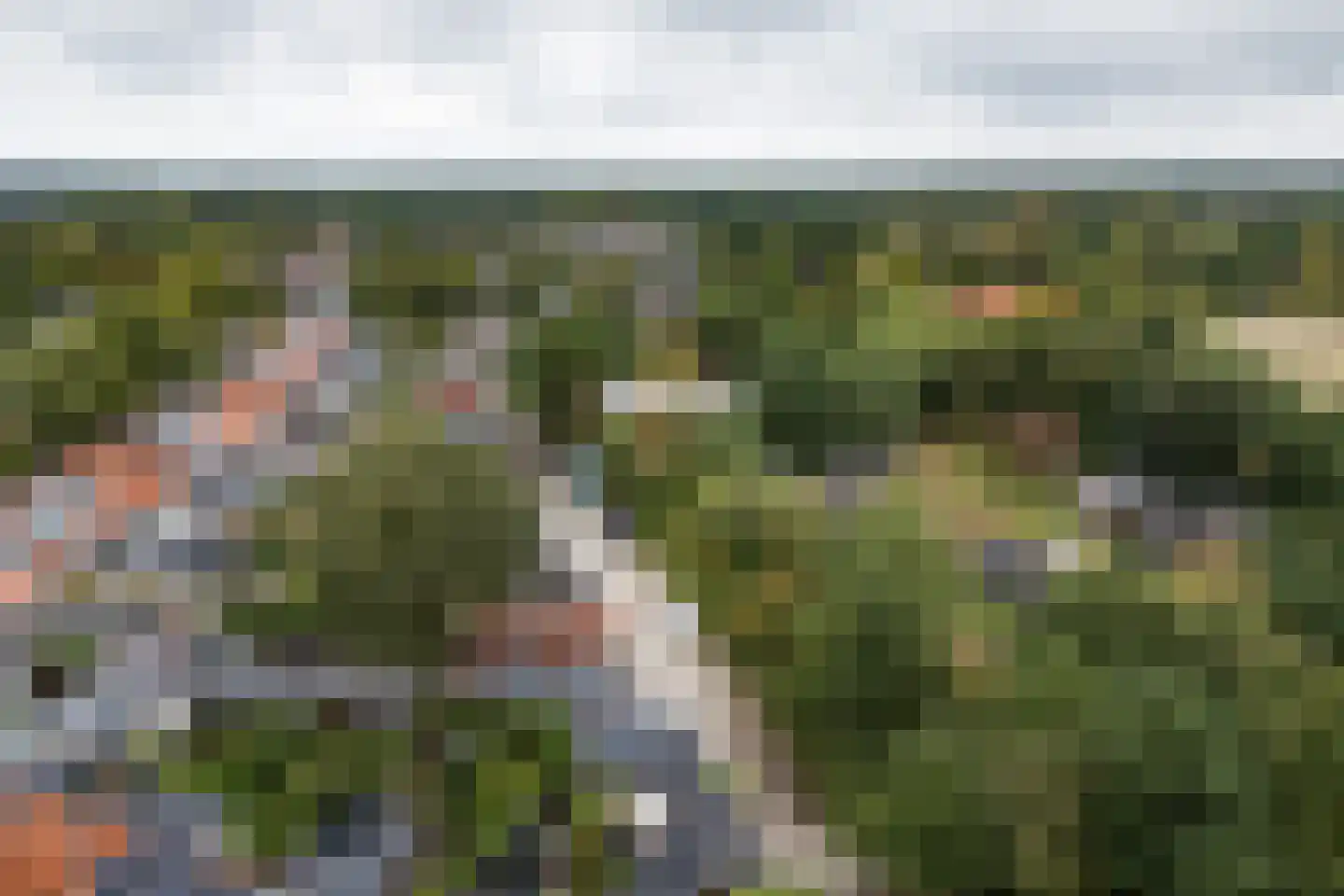 Dijnselweg 81 Zeist thumbnail 31