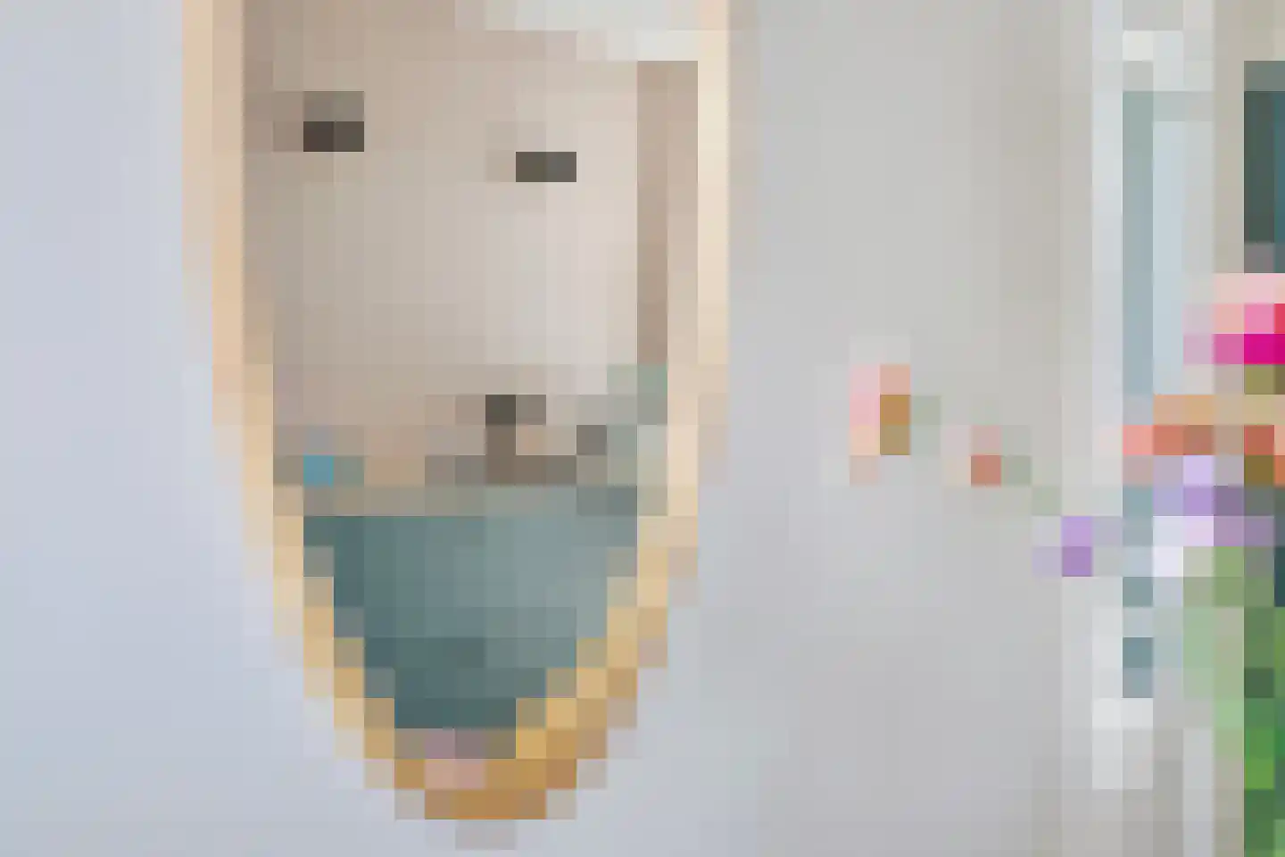 Dijnselweg 92 Zeist thumbnail 15