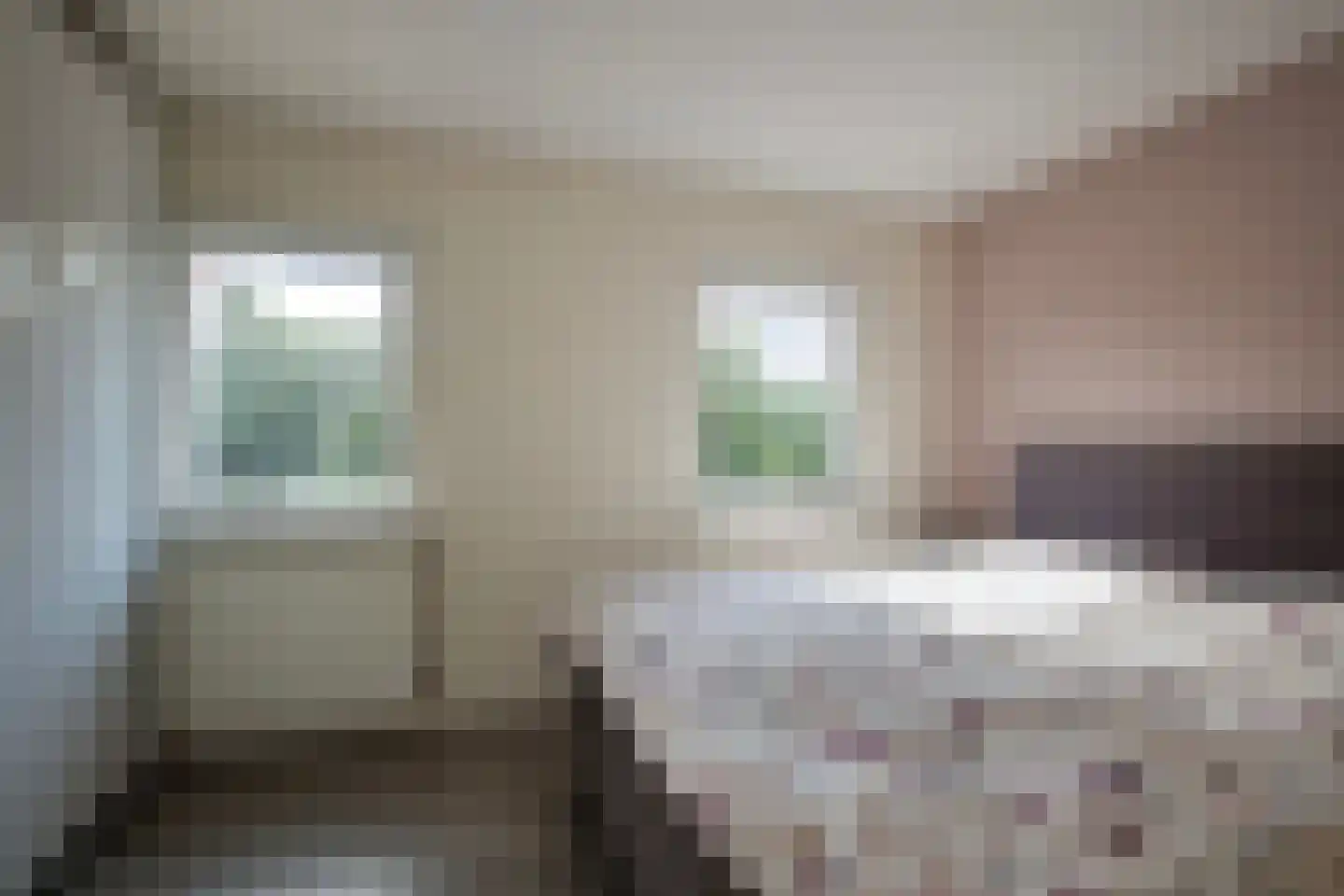 Dijnselweg 92 Zeist thumbnail 17