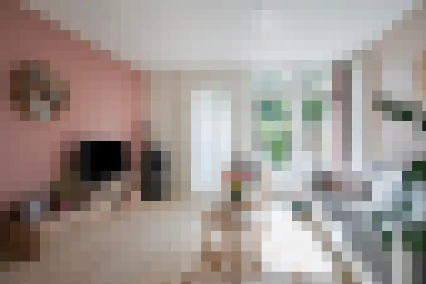 Dijnselweg 92 Zeist foto 3