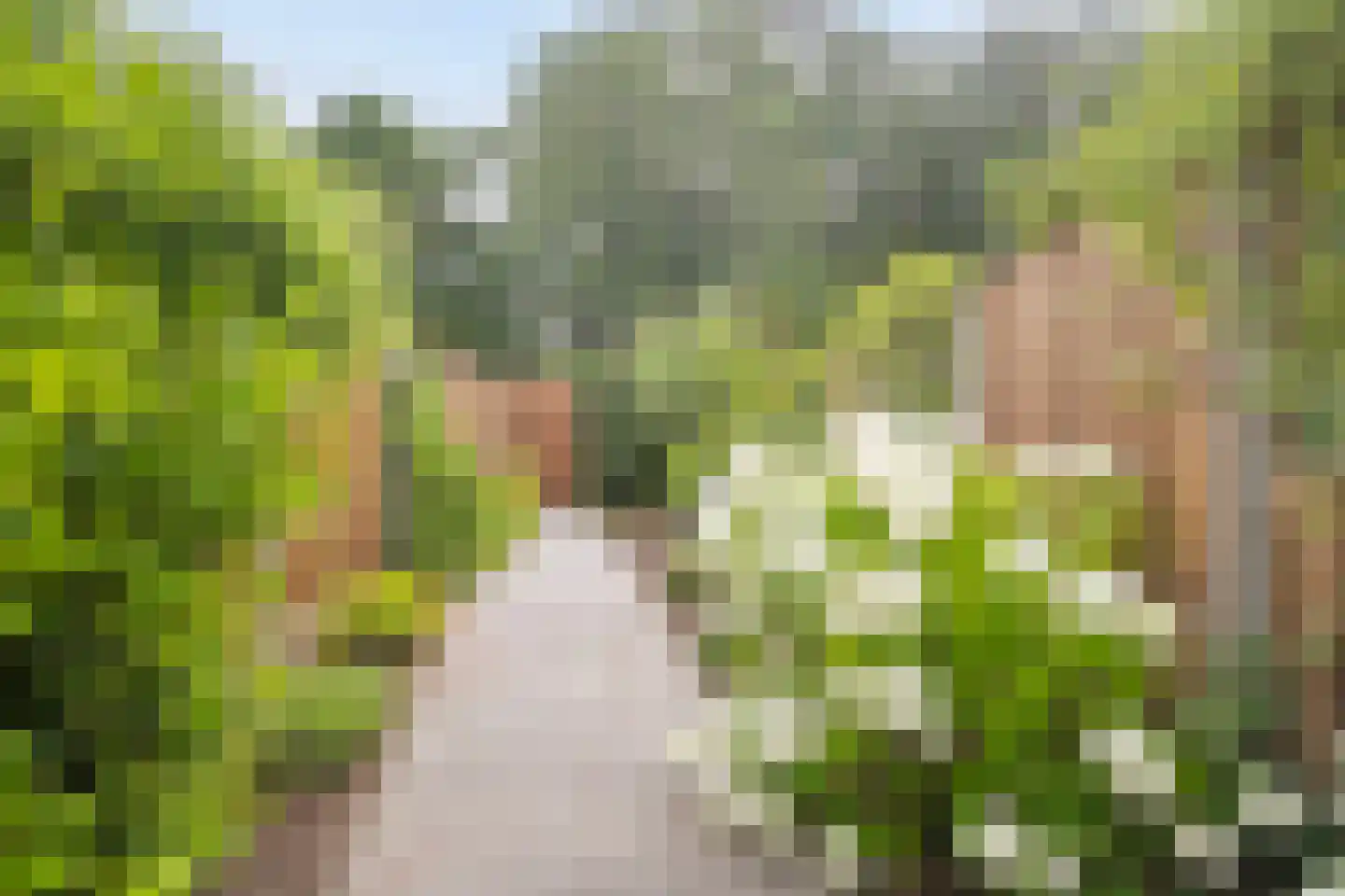 Dijnselweg 92 Zeist thumbnail 30