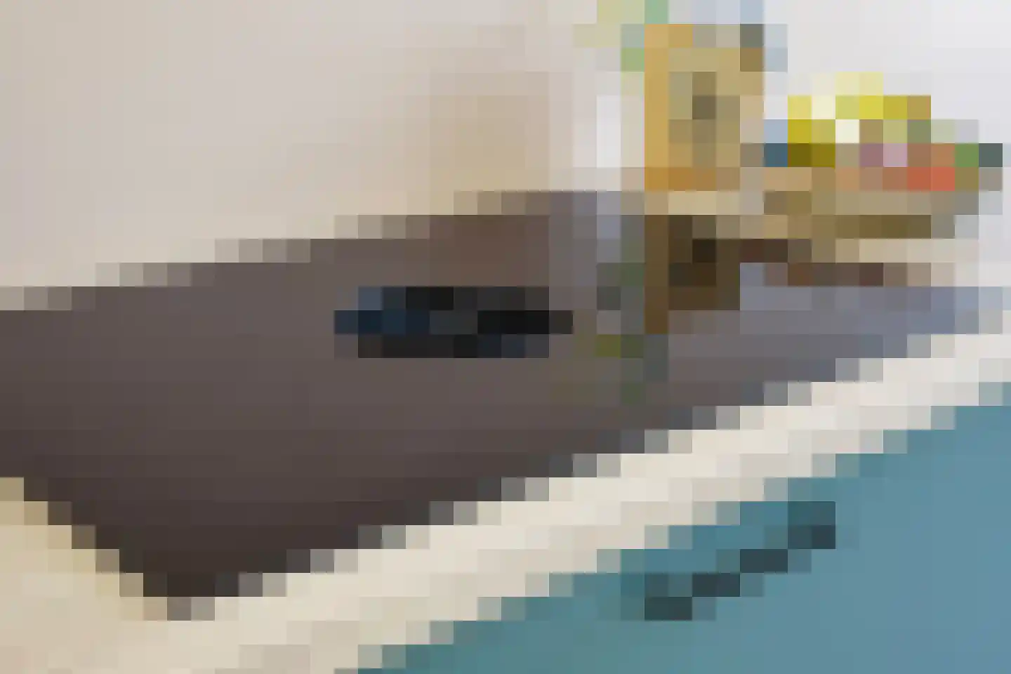 Dijnselweg 92 Zeist thumbnail 9