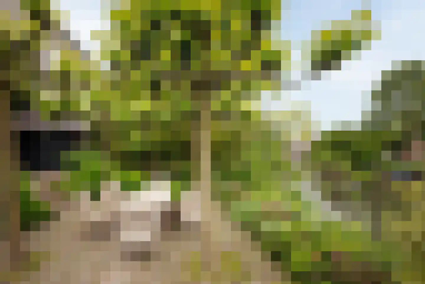 Dijsselhofplantsoen 12 Amsterdam thumbnail 17