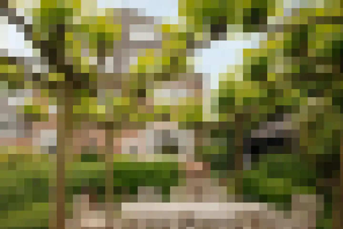 Dijsselhofplantsoen 12 Amsterdam thumbnail 22