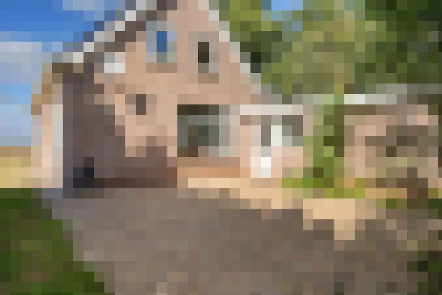 Dikbroeken 8 2e Valthermond thumbnail 35