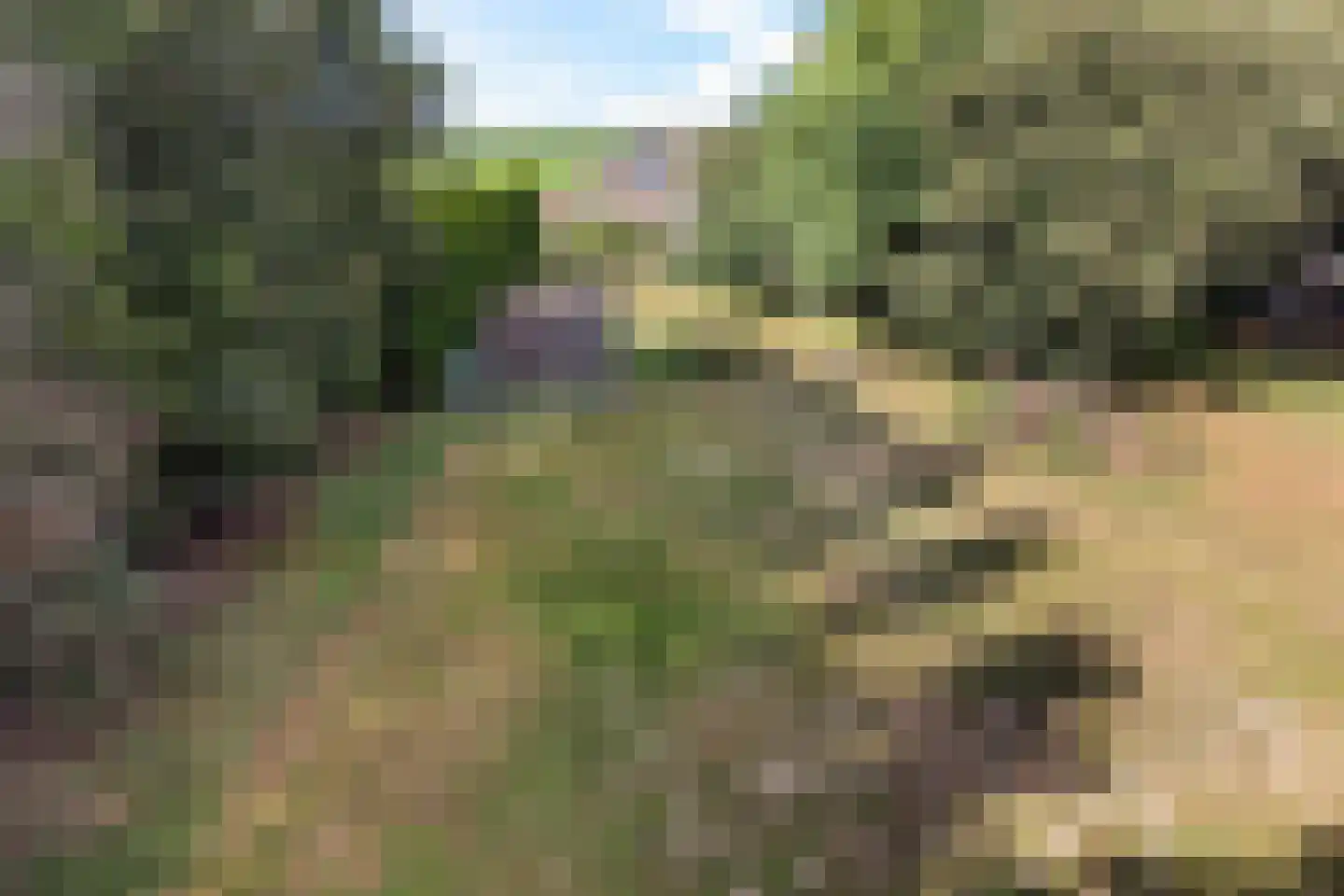 Dikbroeken 8 2e Valthermond thumbnail 4