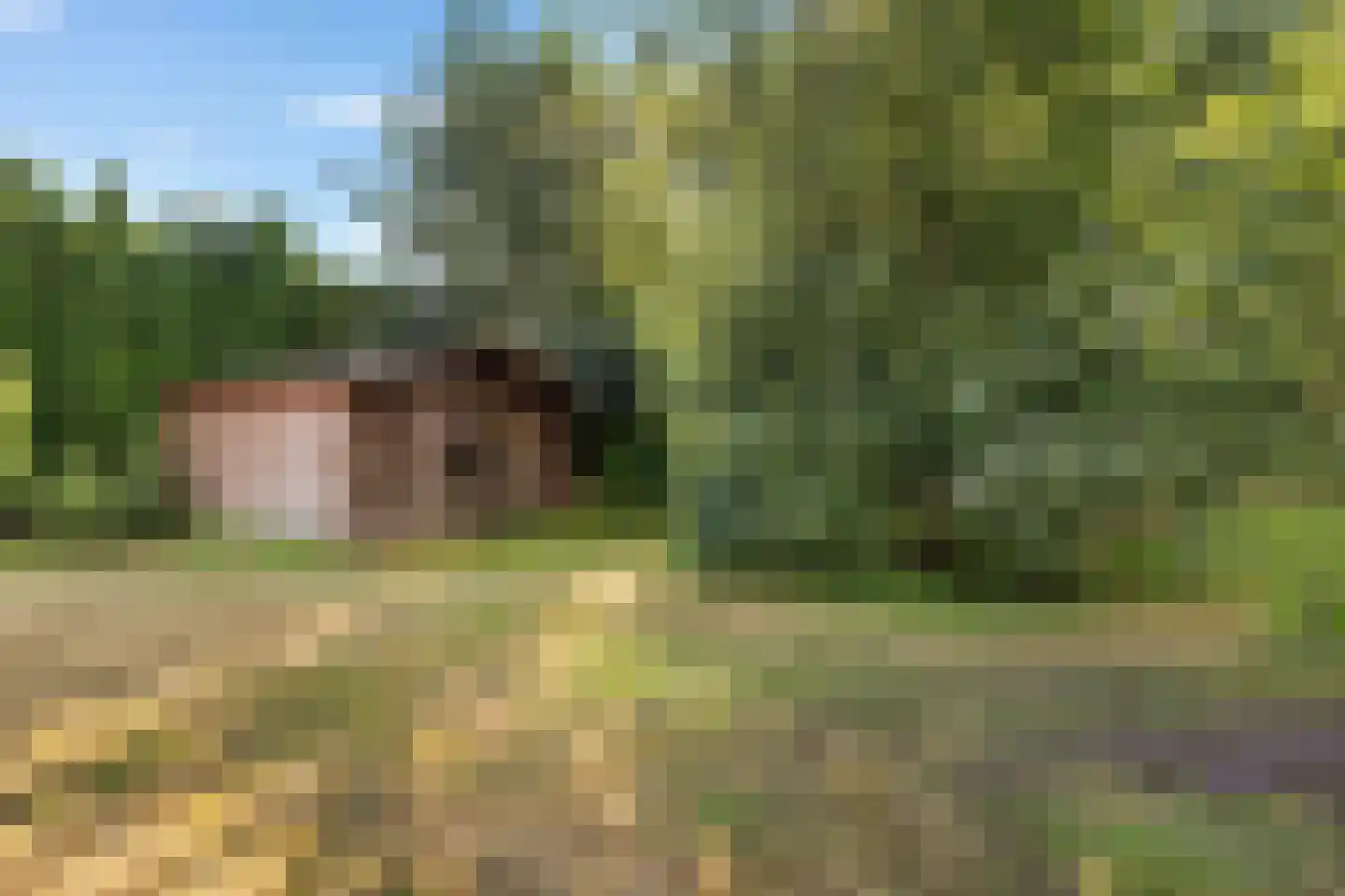 Dikbroeken 8 2e Valthermond thumbnail 41