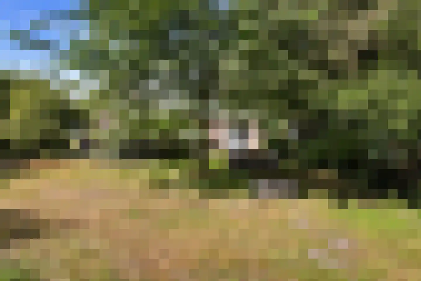 Dikbroeken 8 2e Valthermond thumbnail 45