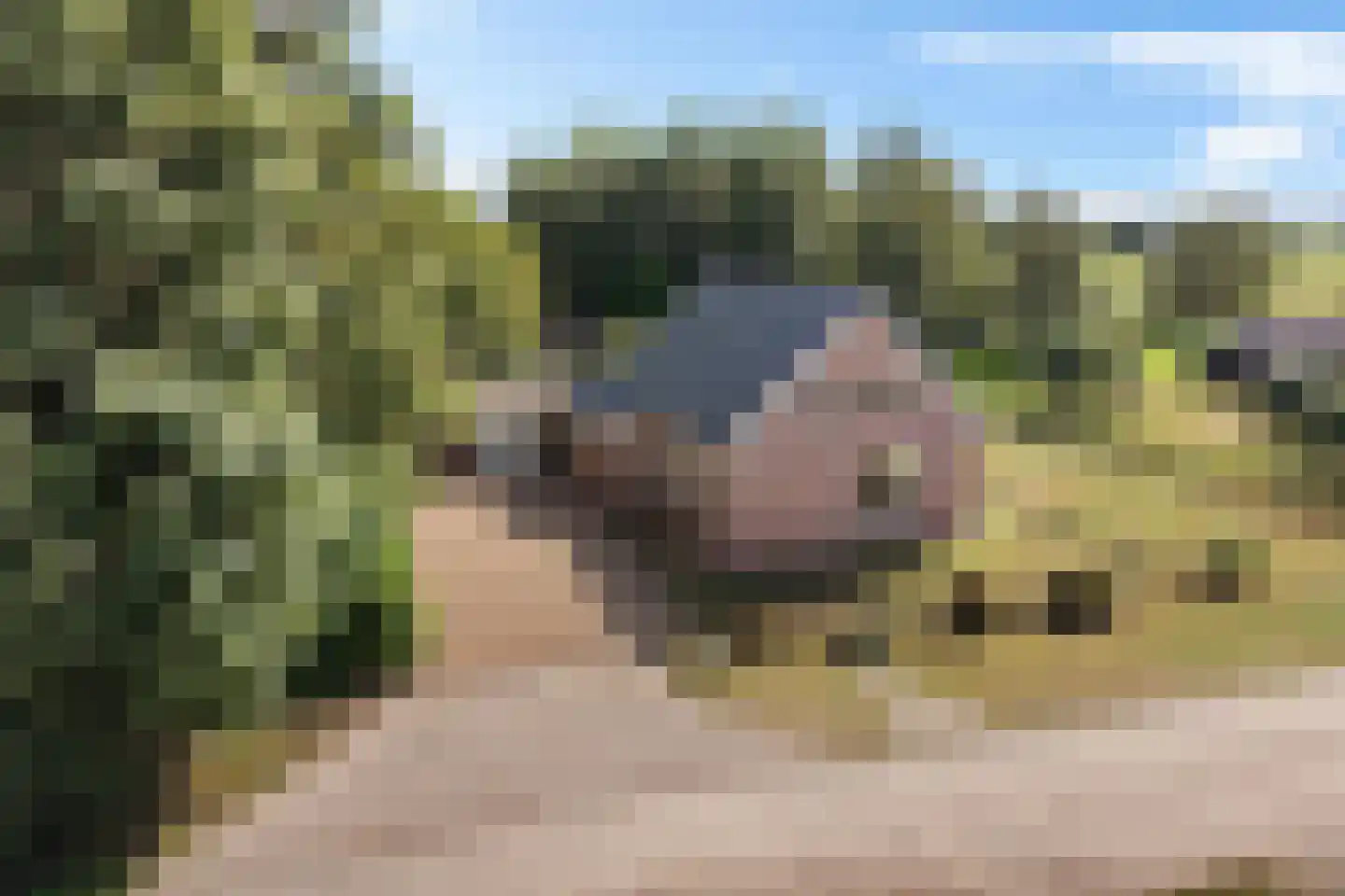 Dikbroeken 8 2e Valthermond thumbnail 5