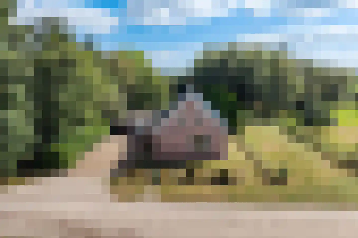 Dikbroeken 8 2e Valthermond thumbnail 6