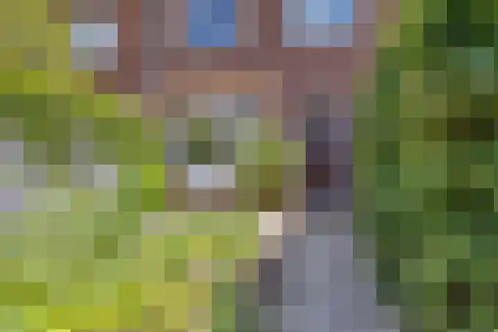 Dikkeboomweg 17 Nijmegen thumbnail 10