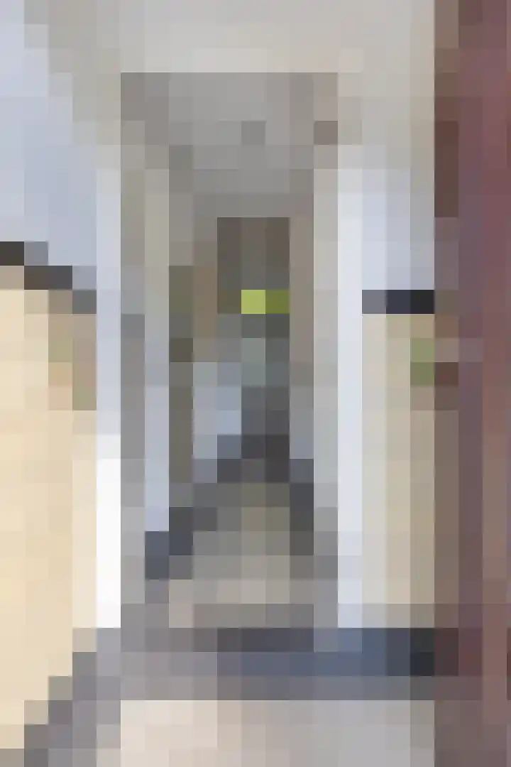 Dikkeboomweg 17 Nijmegen thumbnail 15