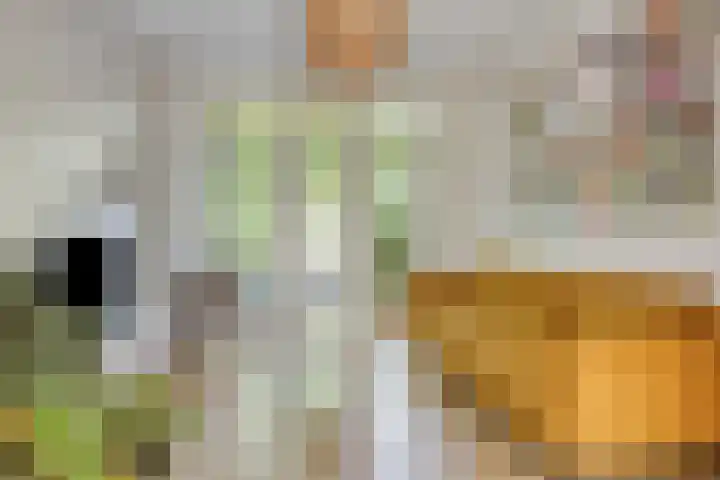 Dikkeboomweg 17 Nijmegen thumbnail 23