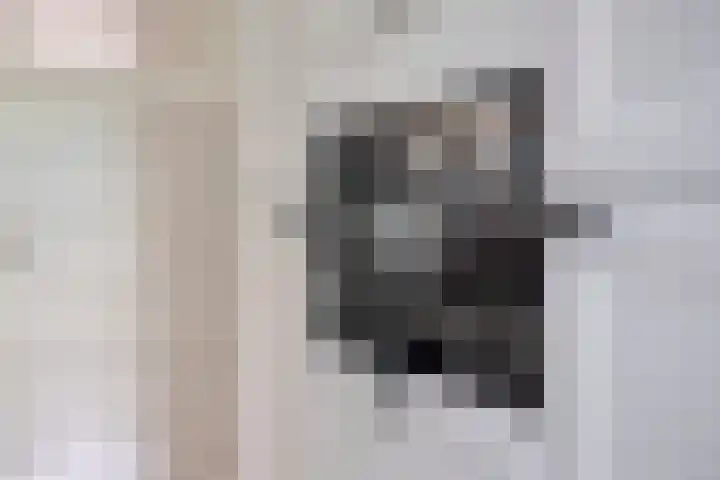 Dikkeboomweg 17 Nijmegen thumbnail 36