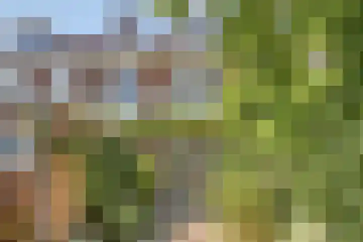 Dikkeboomweg 17 Nijmegen thumbnail 64