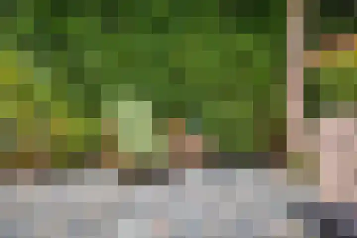 Dikkeboomweg 17 Nijmegen thumbnail 66
