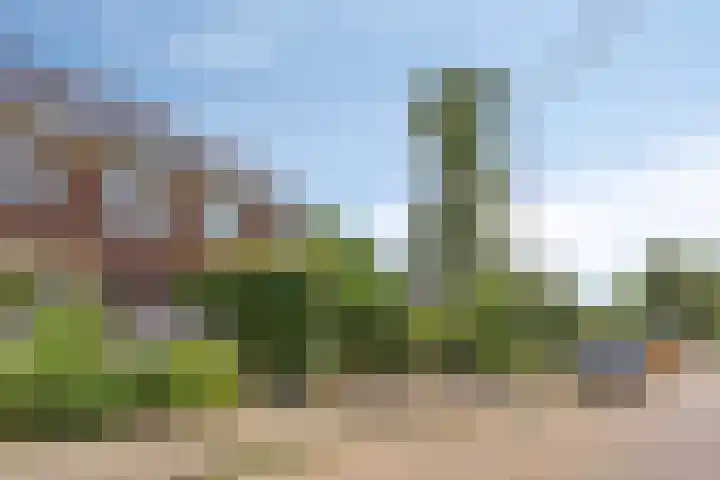 Dikkeboomweg 17 Nijmegen thumbnail 69