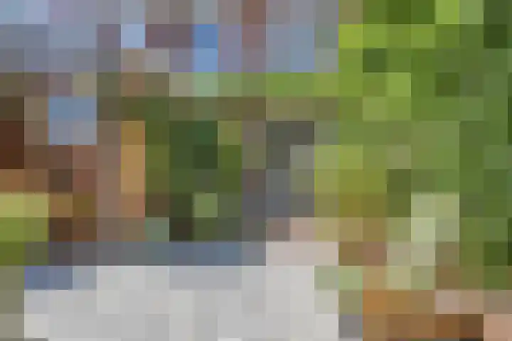 Dikkeboomweg 17 Nijmegen thumbnail 7