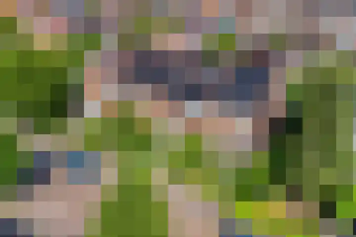 Dikkeboomweg 17 Nijmegen thumbnail 71