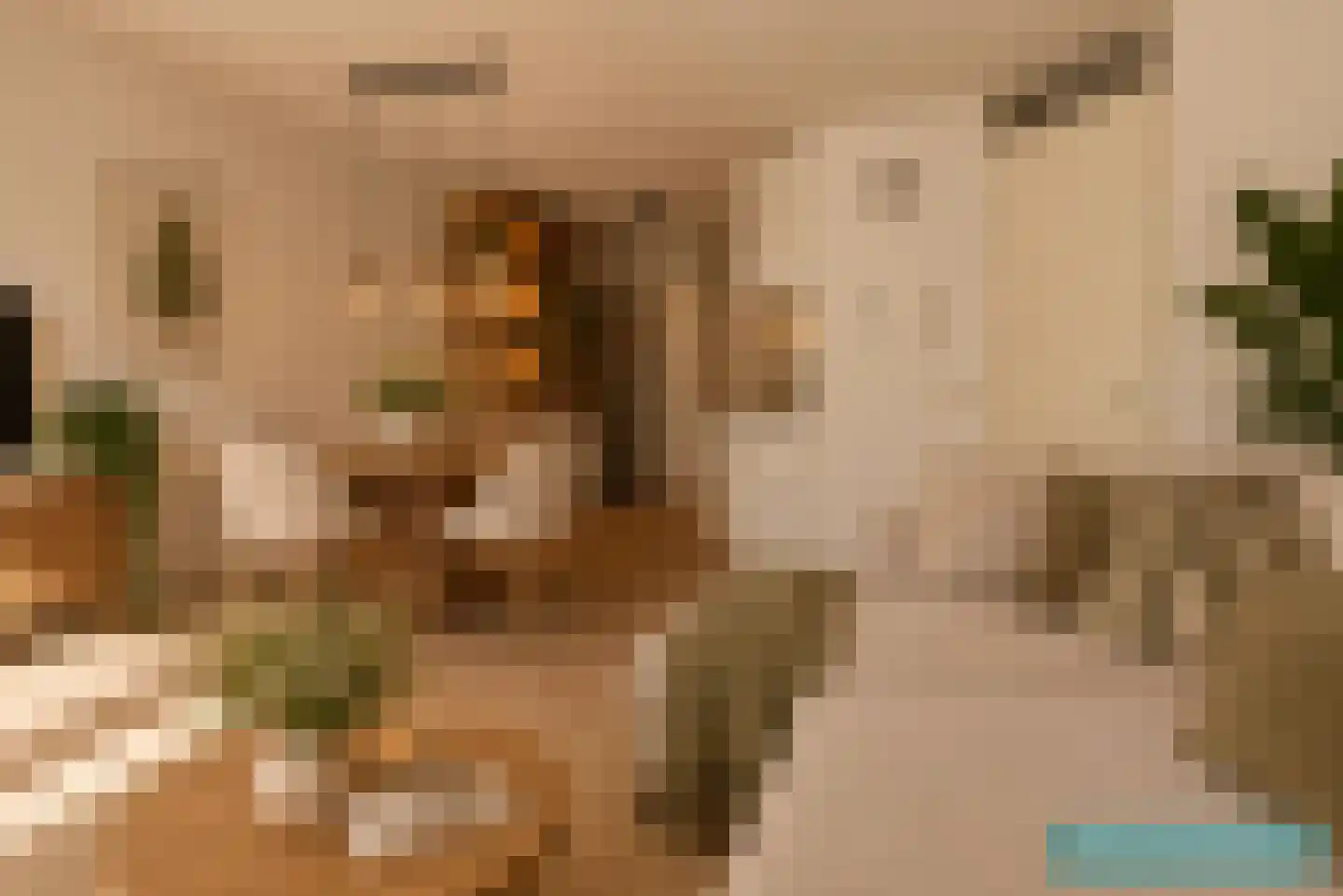 Dikkeboomweg 36 Nijmegen thumbnail 12