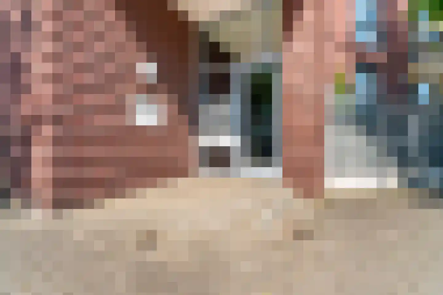 Dikkeboomweg 36 Nijmegen thumbnail 5