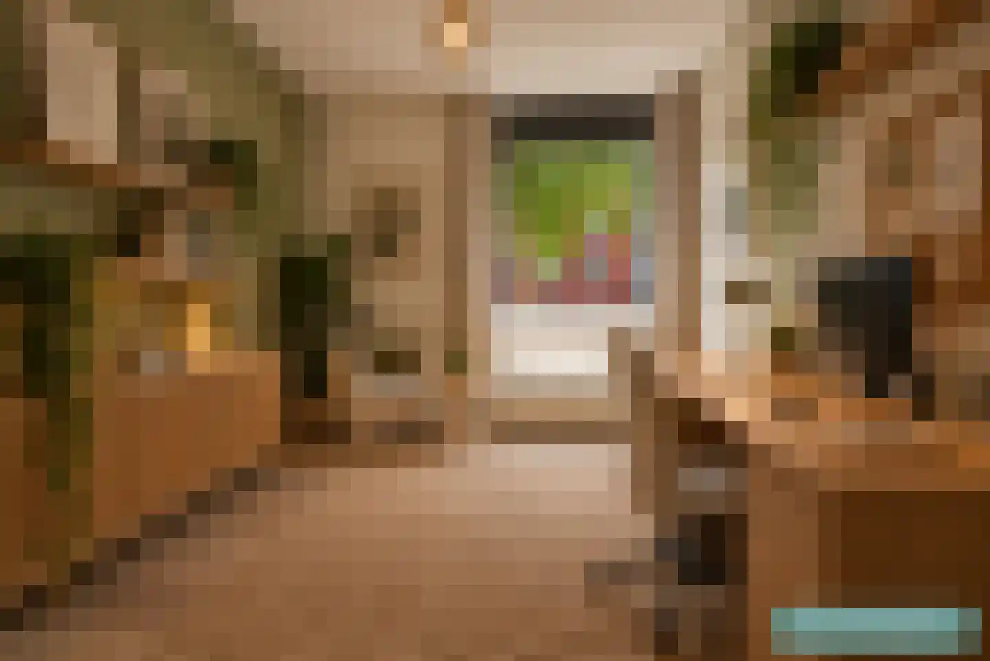 Dikkeboomweg 36 Nijmegen thumbnail 5