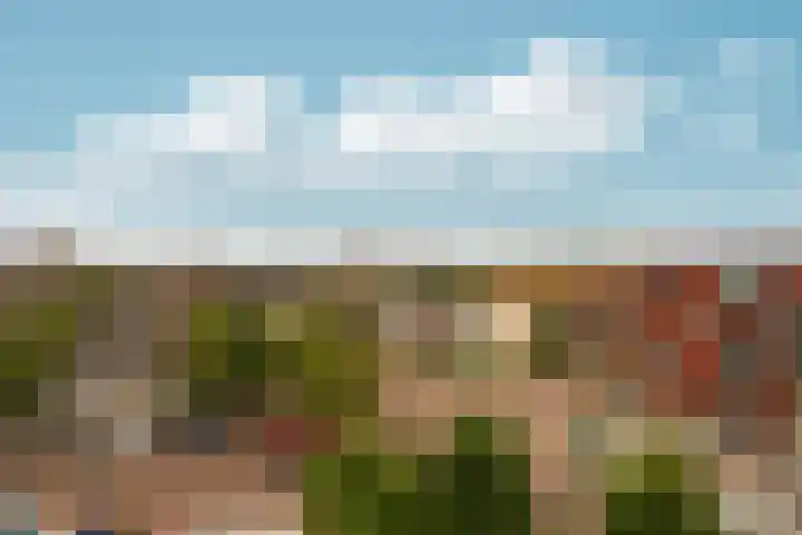 Dikkeboomweg 60 Nijmegen thumbnail 11